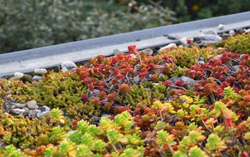 the cost of Bwlch Newydd green roof installation