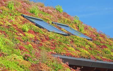Bwlch Newydd living roof systems