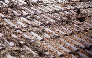 Bwlch Newydd roof cleaning companies